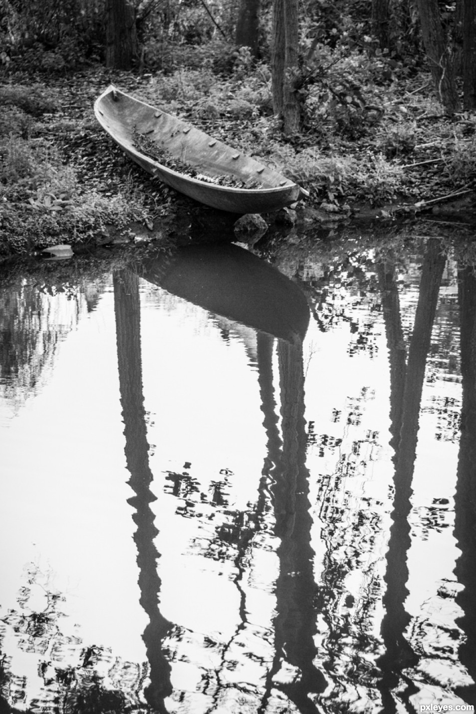 The pirogue