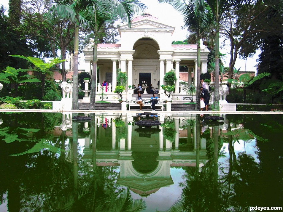 reflection on the pond