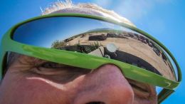Reflections of the Farm