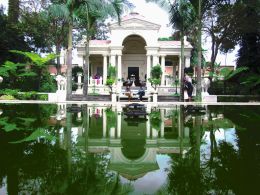 reflection on the pond