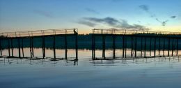 Bridge over the Lake