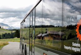 Bus windows