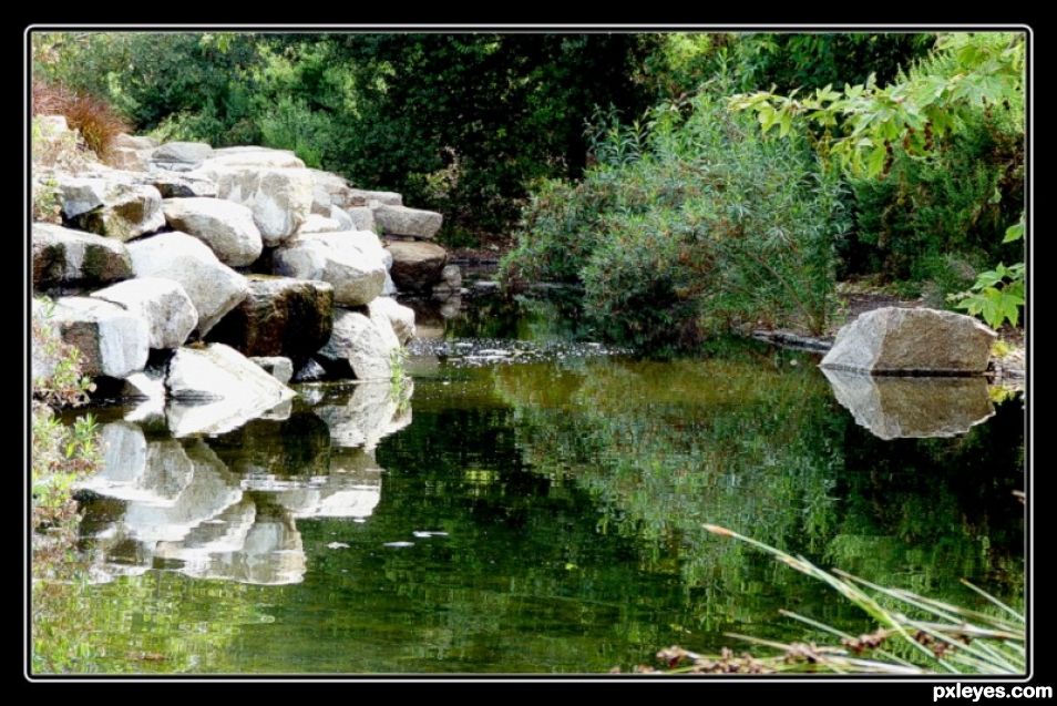 Reflective Pond