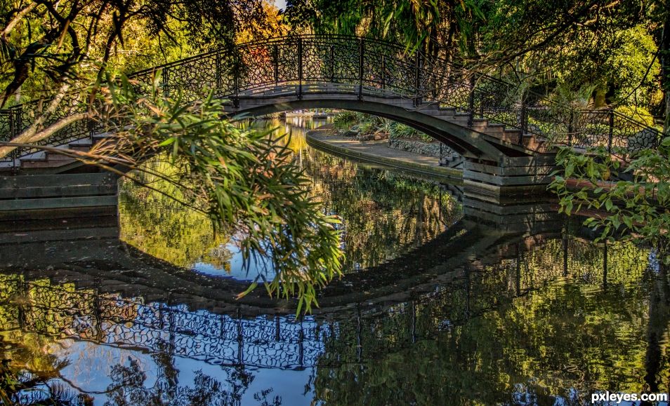 Bridge in park