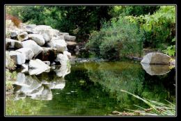 Reflective Pond