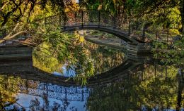 Bridge in park