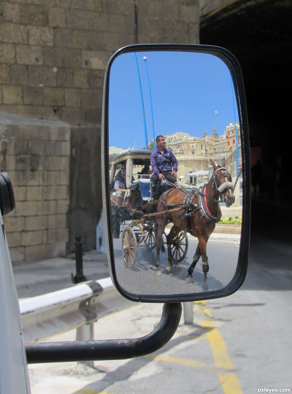 The horse cab