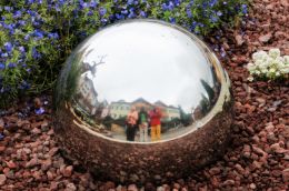 competition for a reflection