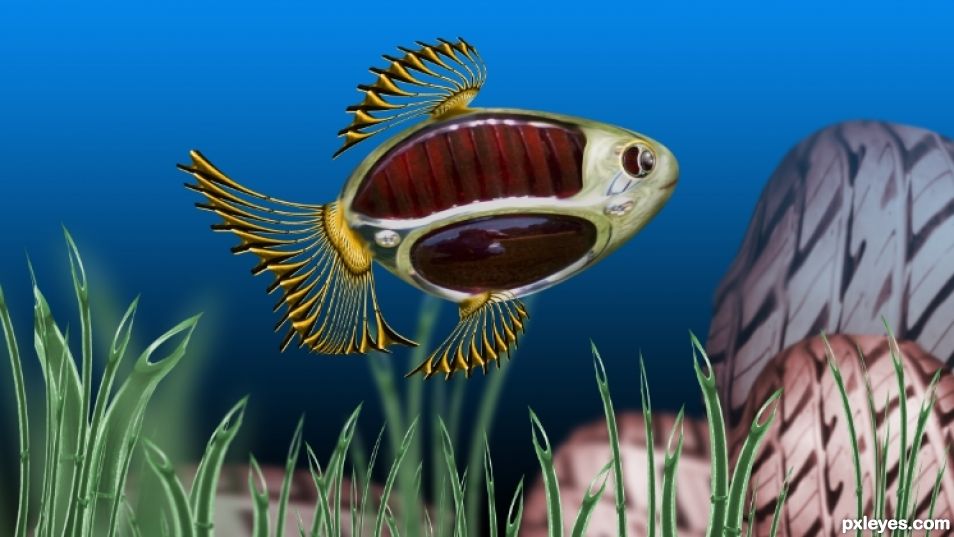 Creation of Fish Reflector: Step 5