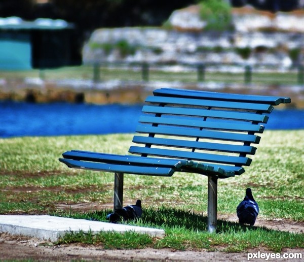 Park Bench