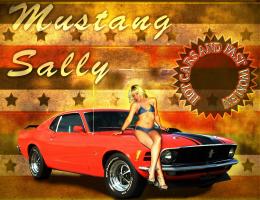 Retro-Stang 