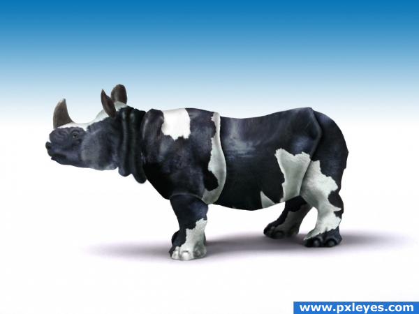 Creation of cow rhino: Final Result