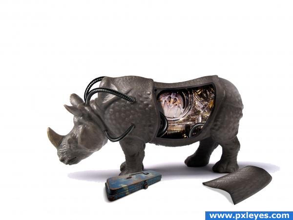 rhino repair