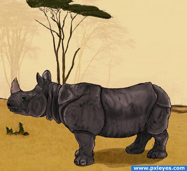 Painted Rhino