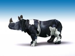 cowrhino