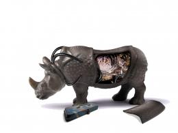 rhino repair