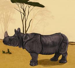 Painted Rhino Picture