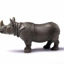 rhino source image