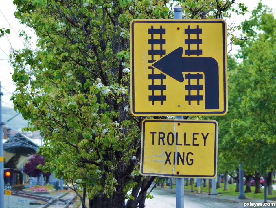 Trolley Xing