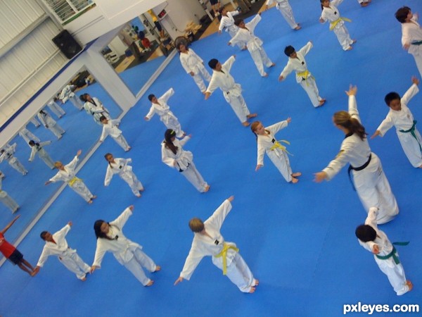 Taekwondo lines