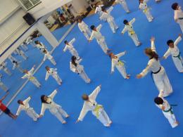 Taekwondo lines