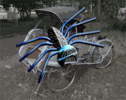 Spider