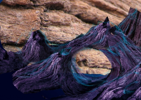 Creation of Realm of the Mermaid: Step 12