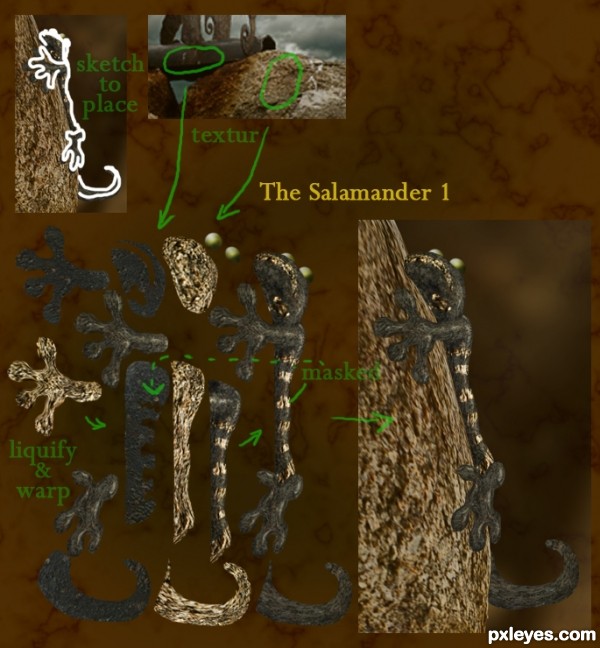 Creation of restore: Step 8