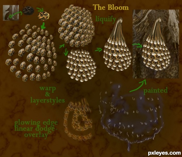 Creation of restore: Step 10