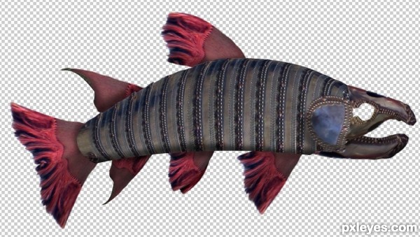 Creation of Sock it To Me Salmon: Step 14