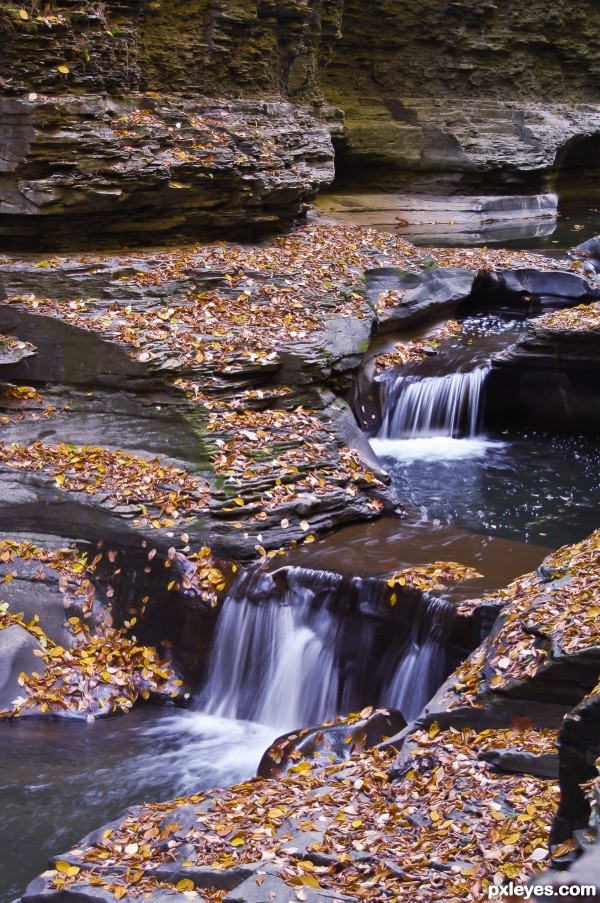 Babbling Brook