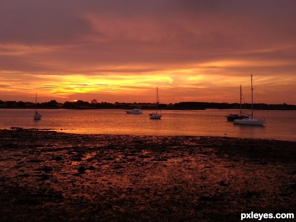 The River Stour