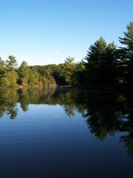 Cottage Life