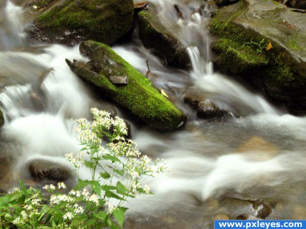 Babbling Brook