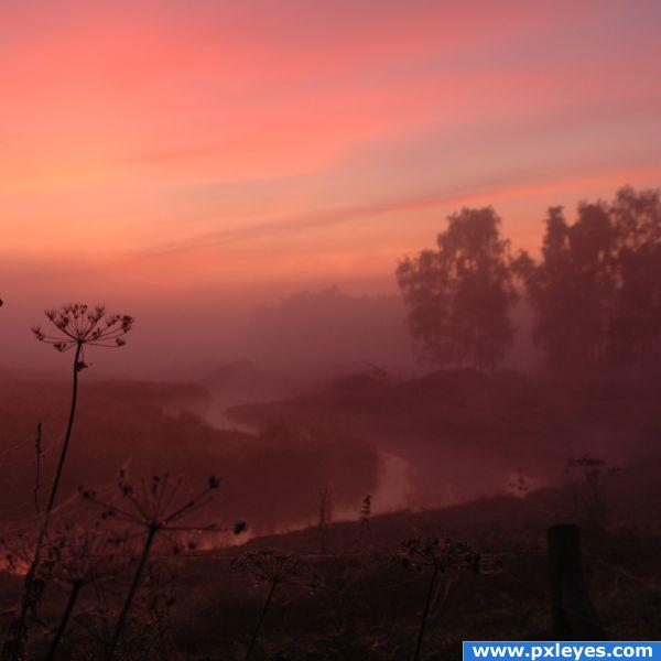 Morning Fog