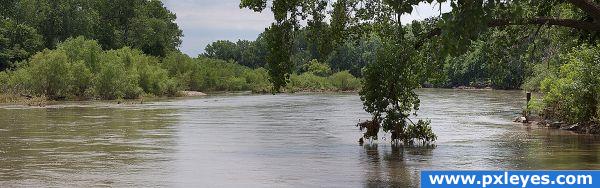 A River with a View