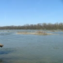 rivers photography contest
