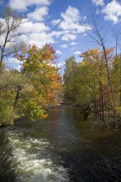 Rasin River Autumn