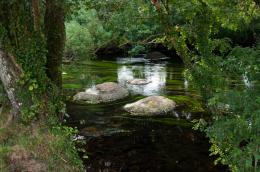 Dry stones