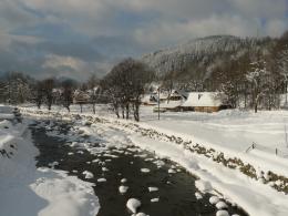 winter stream Picture