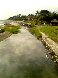 abandoned river