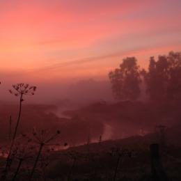 Morning Fog