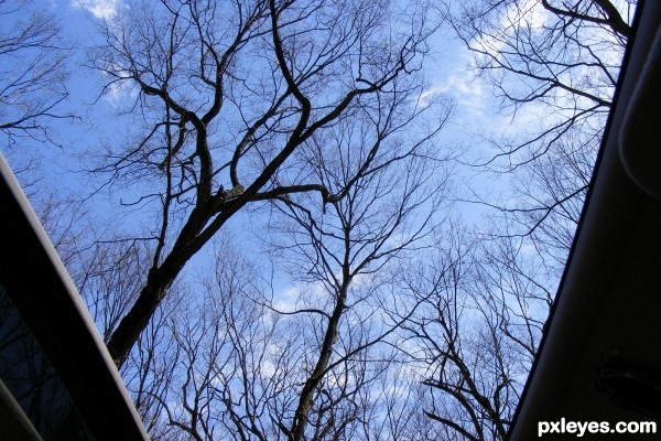 SUNROOF!