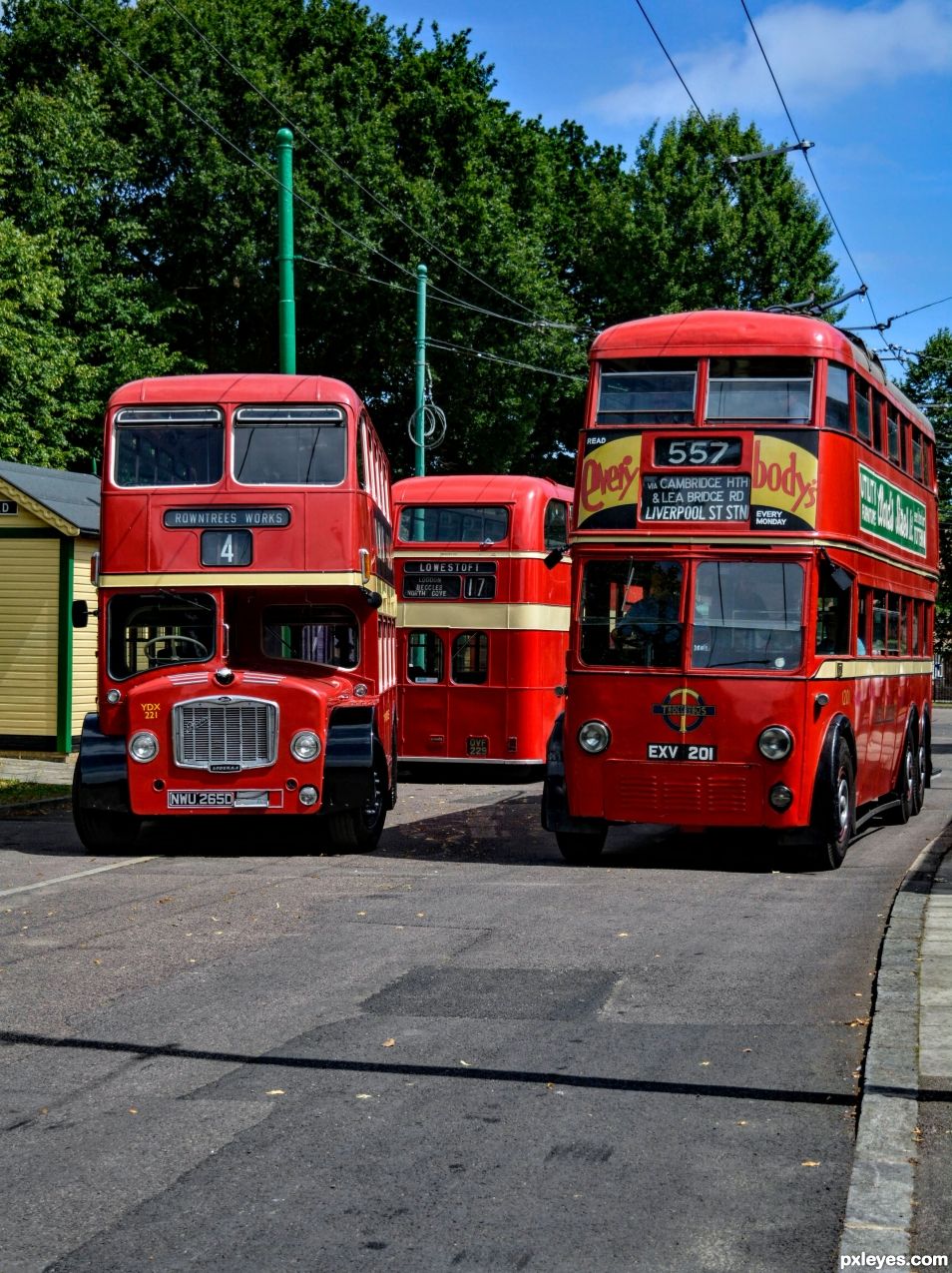 Road Full of Buses