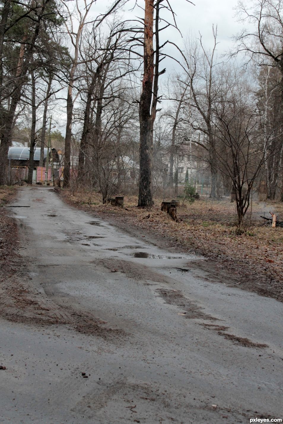 In the Countryside