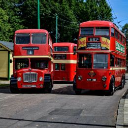 RoadFullofBuses