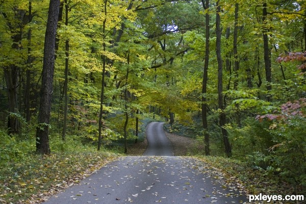 Early Autumn road