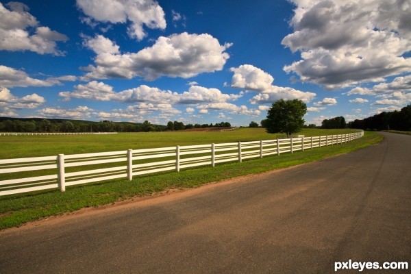Road and fence 