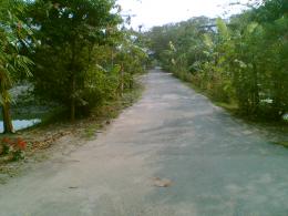 Peacefulplace