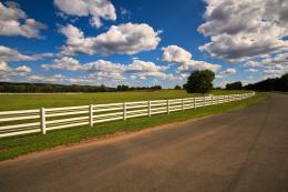 Road and fence 